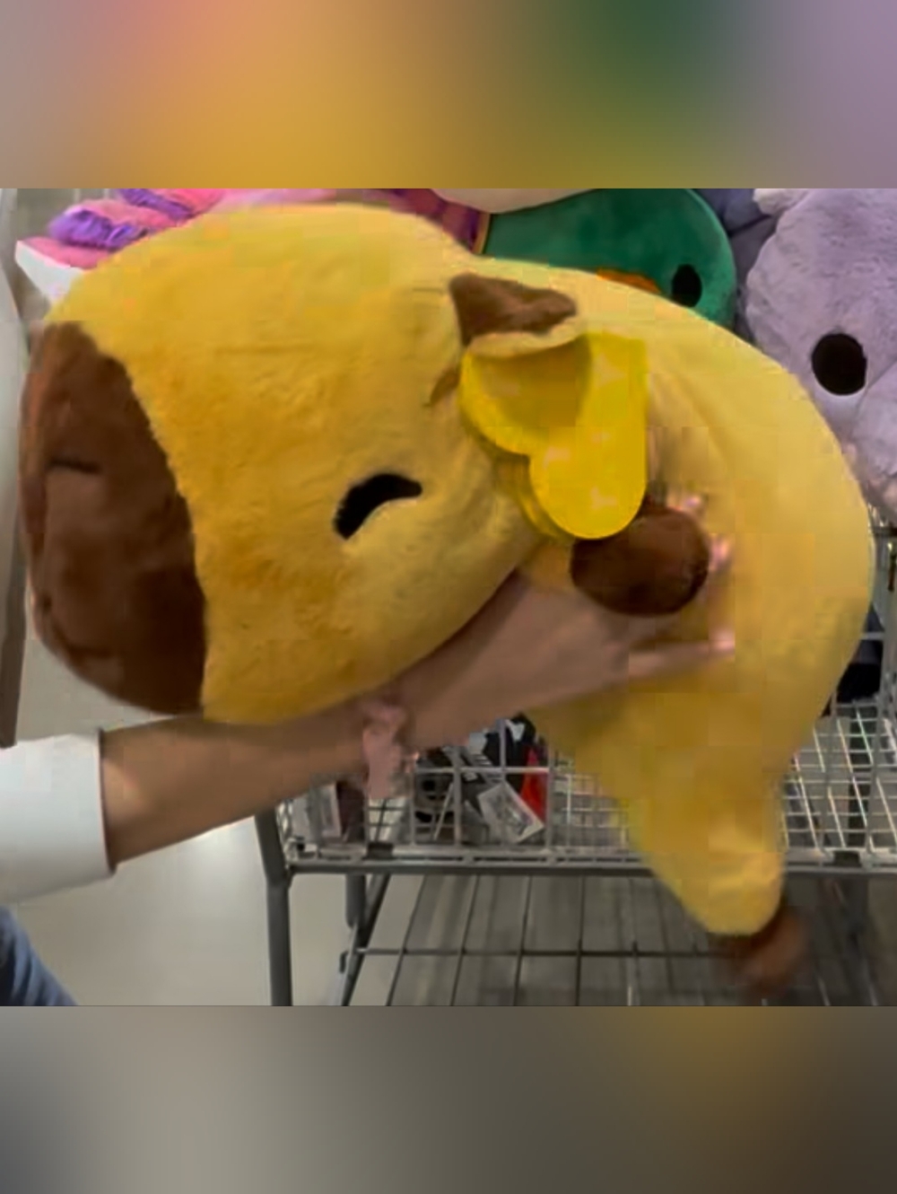 NWT Soft Capybara Weighted Plushy